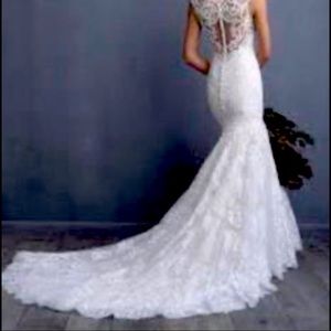Champaign Wedding dress. ALLURE C490